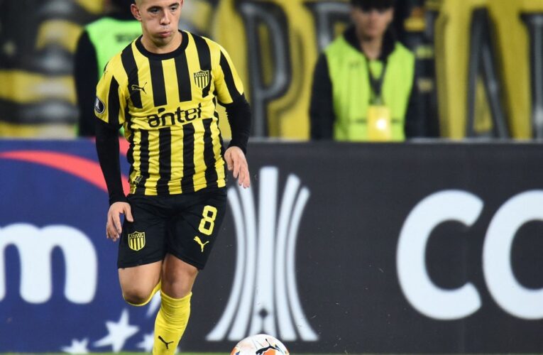 River empieza a mover fichas por Leo Fernández