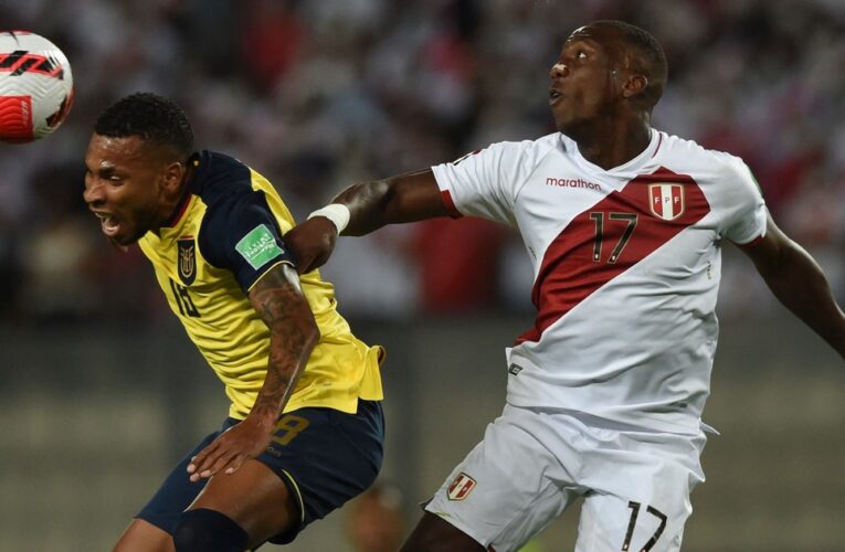 Aldosivi incorpora a un ecuatoriano mundialista