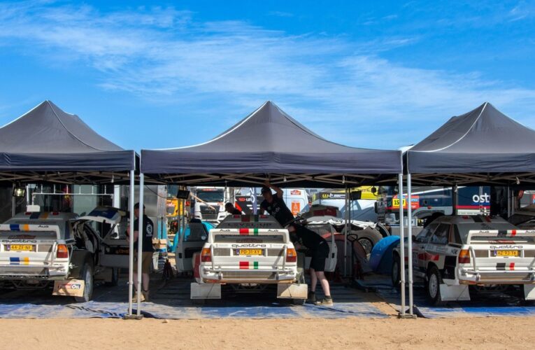 Dakar 2025: cuántos pilotos participan y cuáles son las principales figuras a seguir