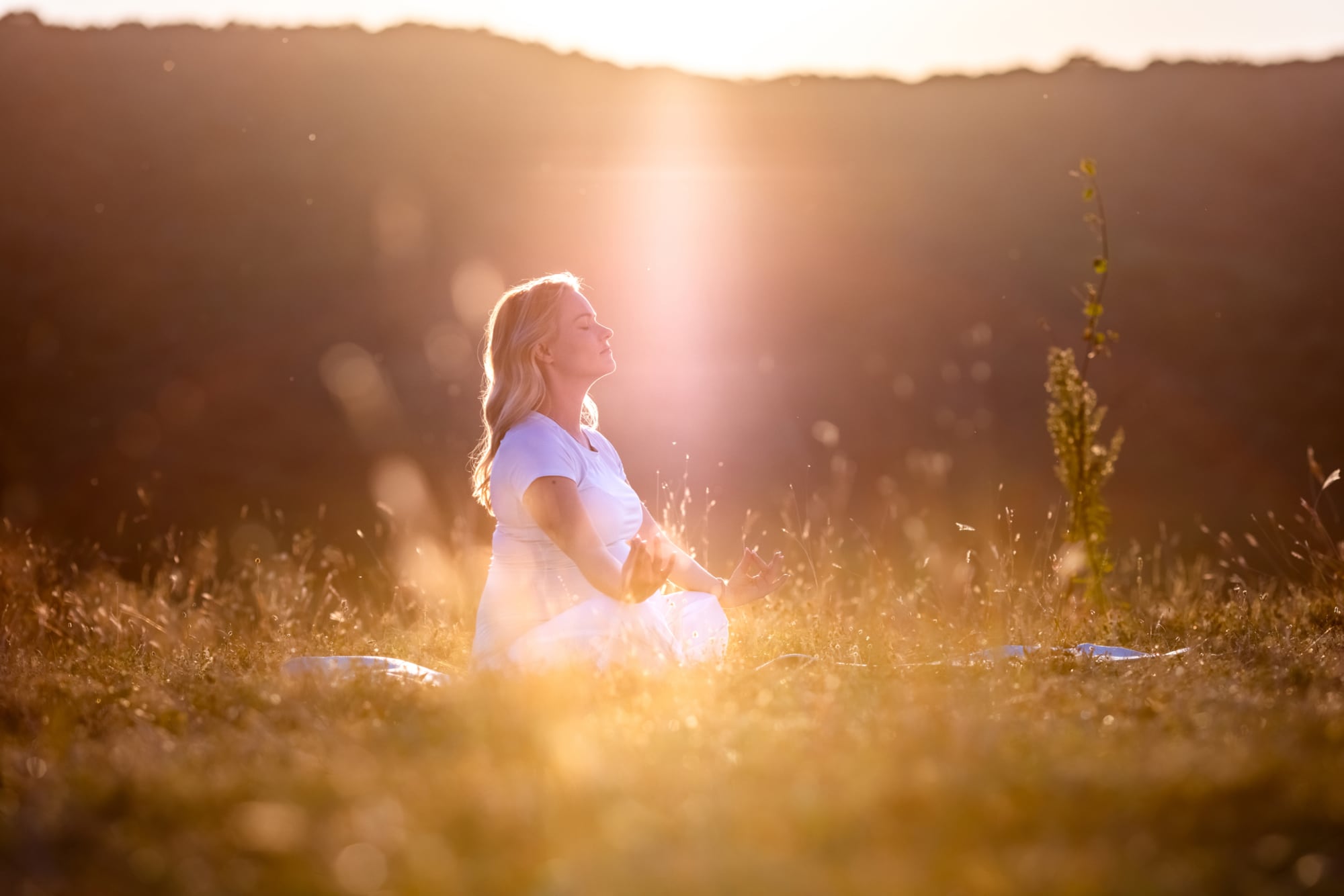 Despertar espiritual: el camino para una vida plena, un atajo a la felicidad